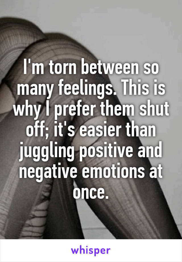 I'm torn between so many feelings. This is why I prefer them shut off; it's easier than juggling positive and negative emotions at once.