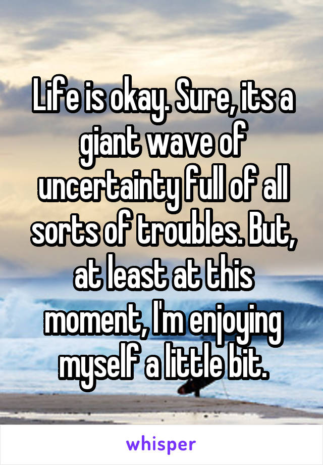 Life is okay. Sure, its a giant wave of uncertainty full of all sorts of troubles. But, at least at this moment, I'm enjoying myself a little bit.