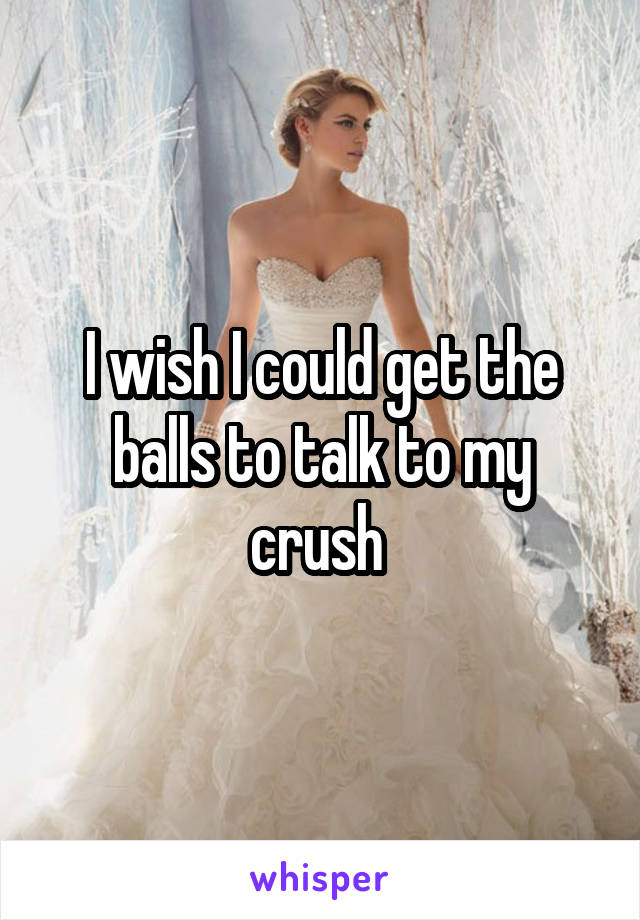 I wish I could get the balls to talk to my crush 