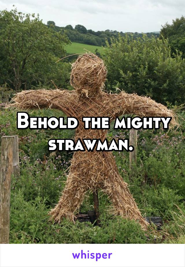 Behold the mighty strawman. 