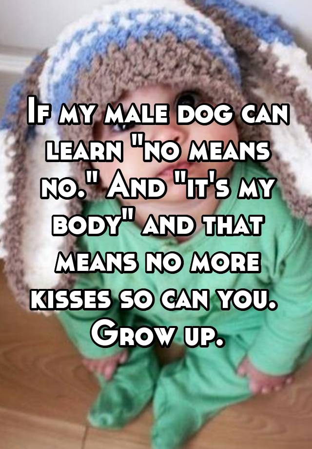 If my male dog can learn "no means no." And "it's my body" and that