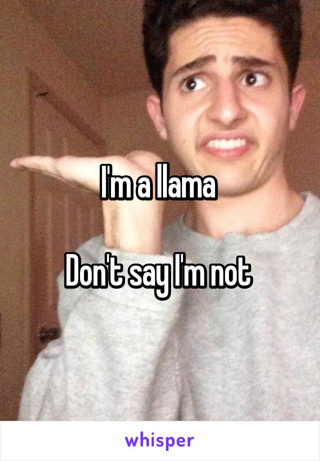 I'm a llama 

Don't say I'm not 