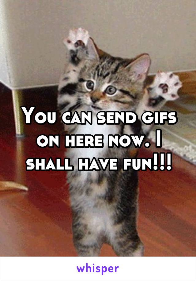 You can send gifs on here now. I shall have fun!!!