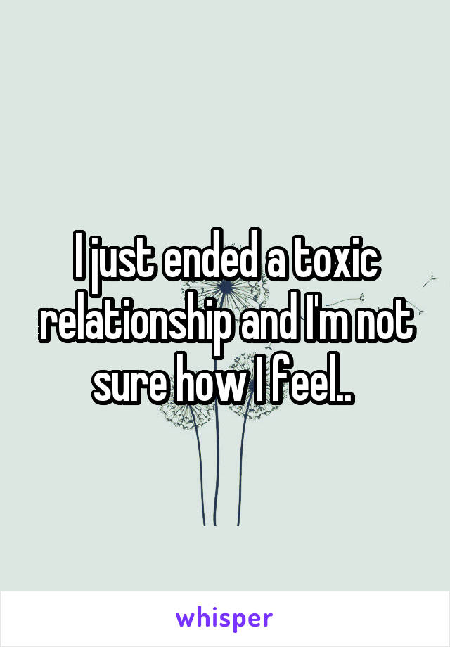 I just ended a toxic relationship and I'm not sure how I feel.. 