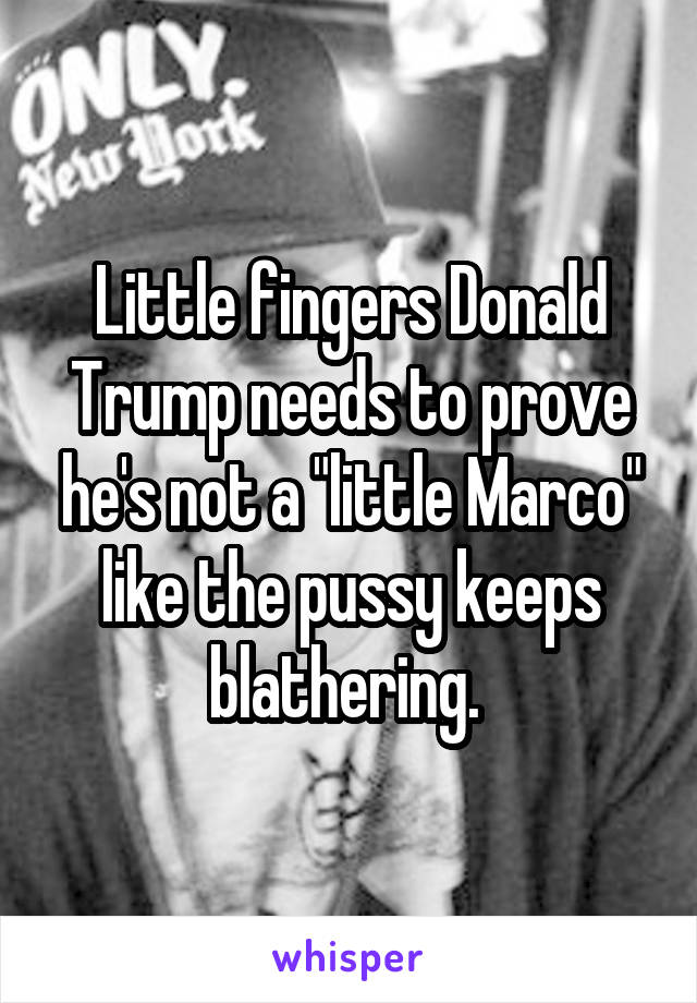 Little fingers Donald Trump needs to prove he's not a "little Marco" like the pussy keeps blathering. 