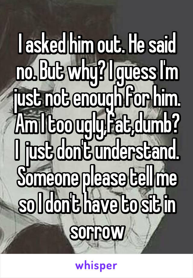 I asked him out. He said no. But why? I guess I'm just not enough for him. Am I too ugly,fat,dumb? I  just don't understand. Someone please tell me so I don't have to sit in sorrow