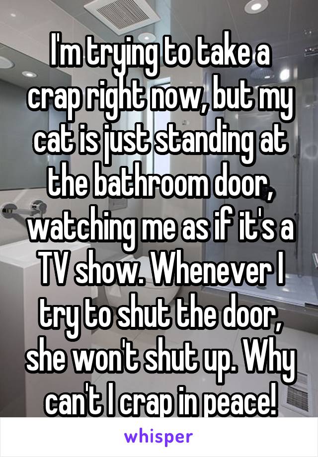 I'm trying to take a crap right now, but my cat is just standing at the bathroom door, watching me as if it's a TV show. Whenever I try to shut the door, she won't shut up. Why can't I crap in peace!