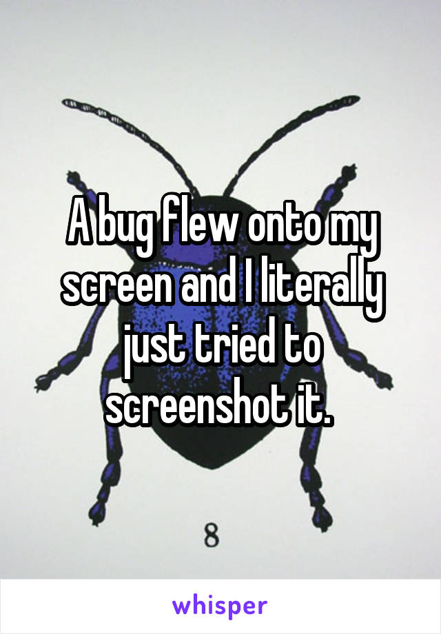 A bug flew onto my screen and I literally just tried to screenshot it. 