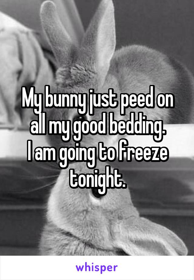 My bunny just peed on all my good bedding.
I am going to freeze tonight.