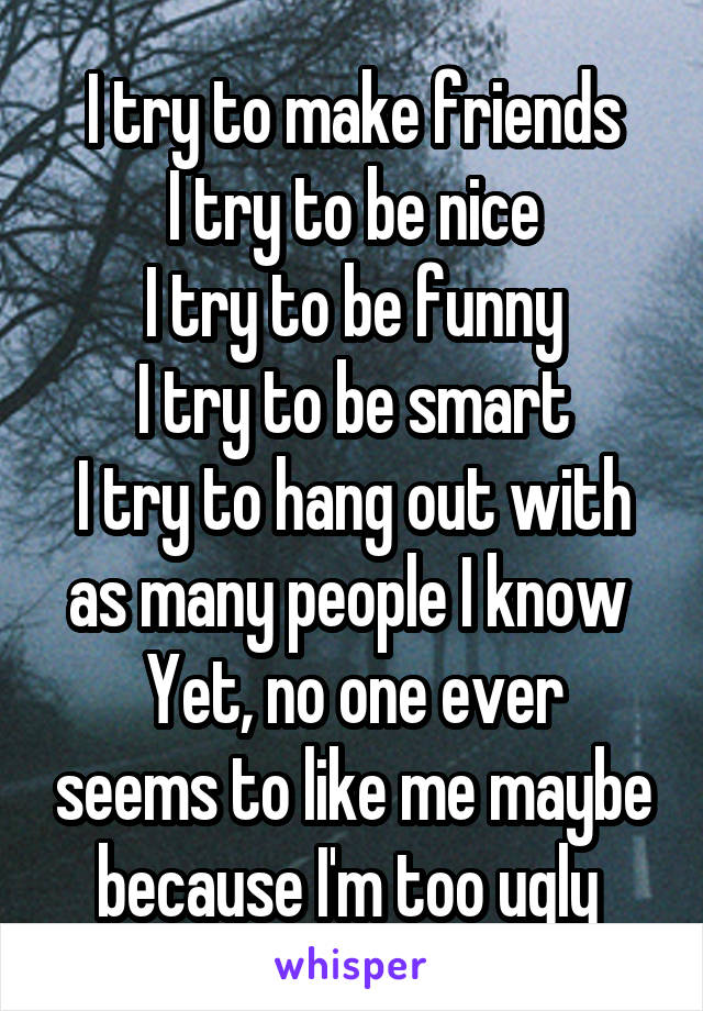 I try to make friends
I try to be nice
I try to be funny
I try to be smart
I try to hang out with as many people I know 
Yet, no one ever seems to like me maybe because I'm too ugly 