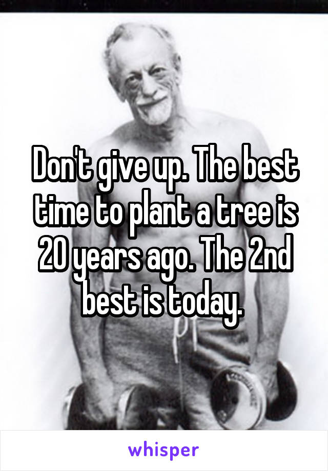 Don't give up. The best time to plant a tree is 20 years ago. The 2nd best is today. 