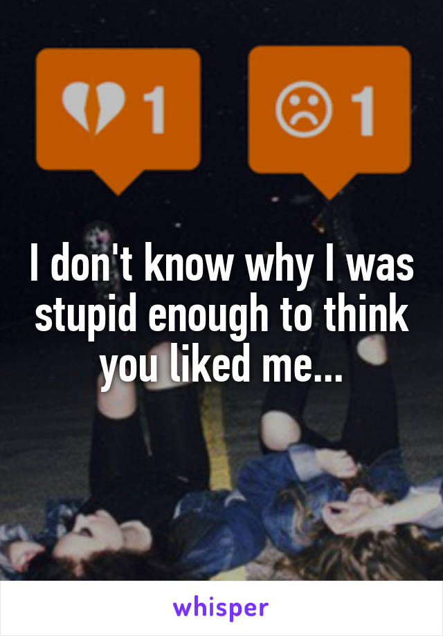 I don't know why I was stupid enough to think you liked me...