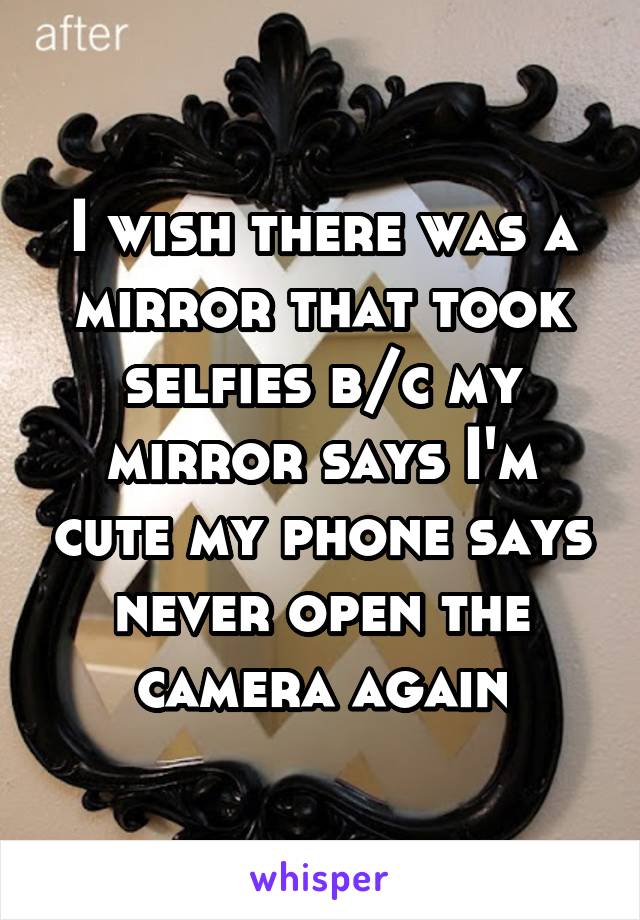 I wish there was a mirror that took selfies b/c my mirror says I'm cute my phone says never open the camera again