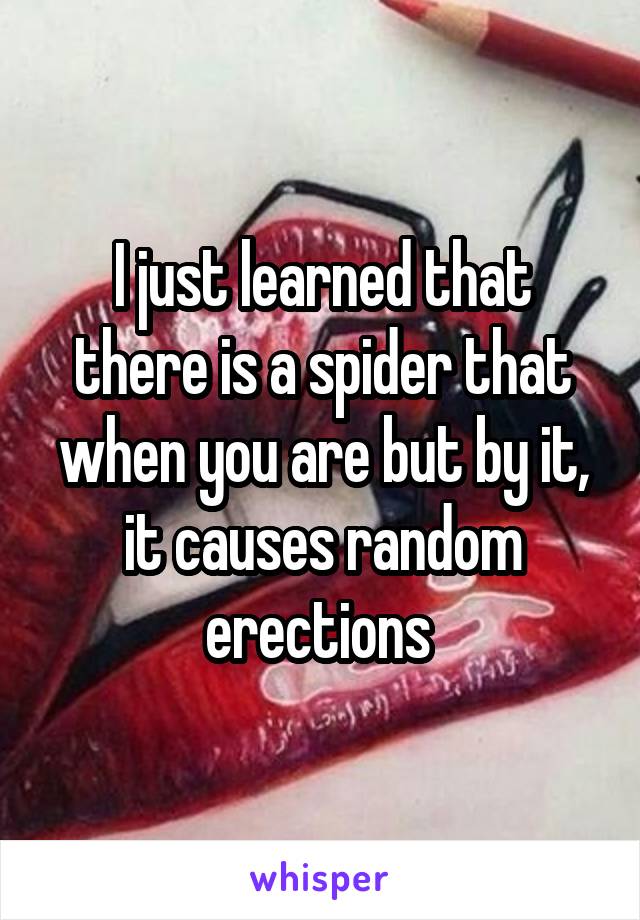 I just learned that there is a spider that when you are but by it, it causes random erections 