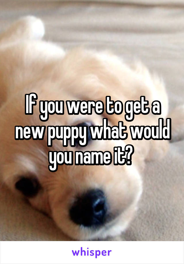 If you were to get a new puppy what would you name it? 