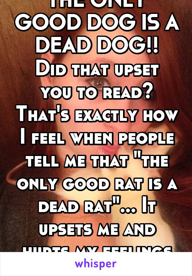 THE ONLY GOOD DOG IS A DEAD DOG!!
Did that upset you to read? That's exactly how I feel when people tell me that "the only good rat is a dead rat"... It upsets me and hurts my feelings just as much! 