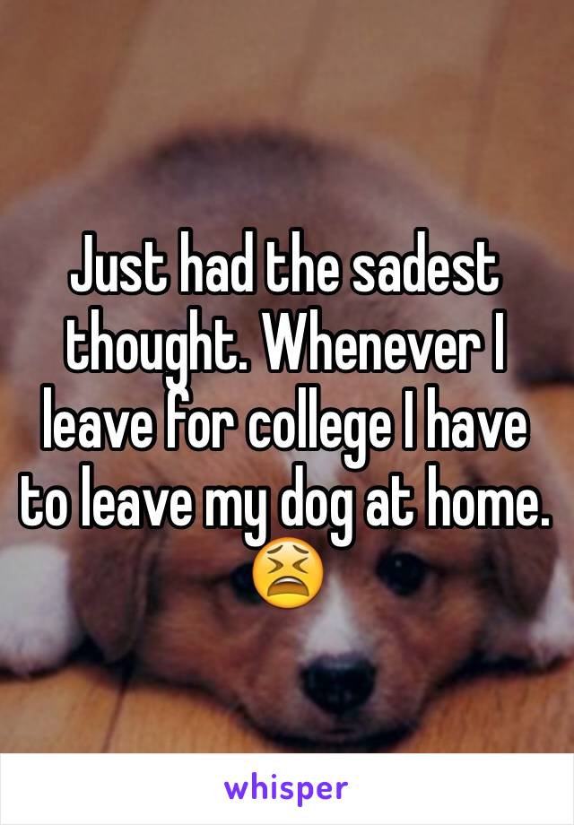 Just had the sadest thought. Whenever I leave for college I have to leave my dog at home. 😫