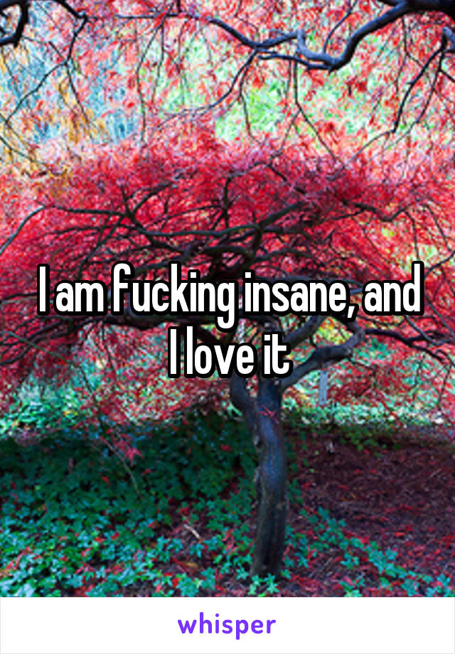 I am fucking insane, and I love it