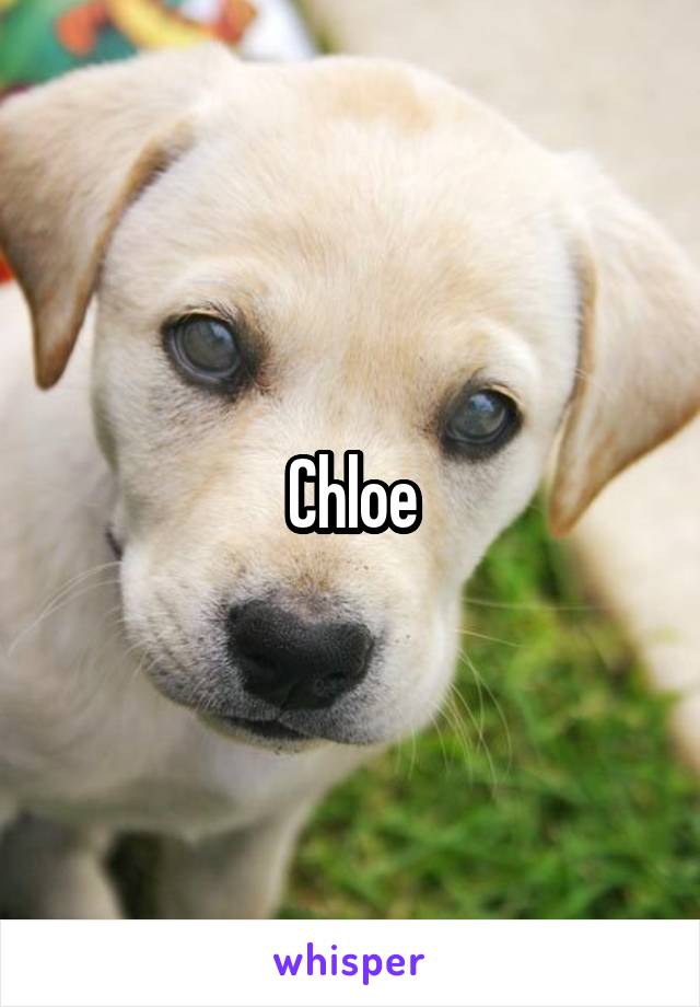 Chloe