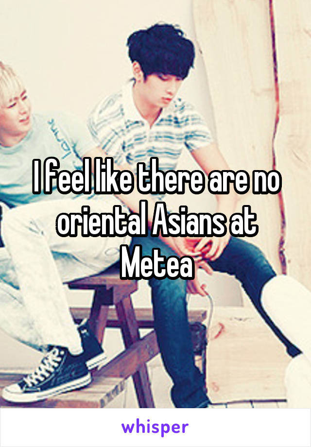 I feel like there are no oriental Asians at Metea