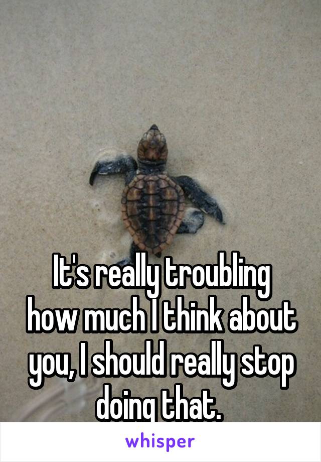 




It's really troubling how much I think about you, I should really stop doing that. 