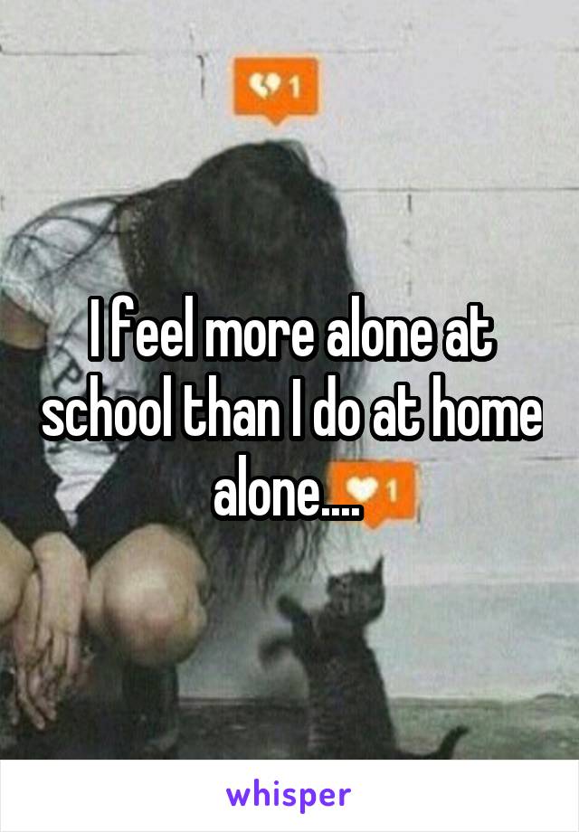 I feel more alone at school than I do at home alone.... 