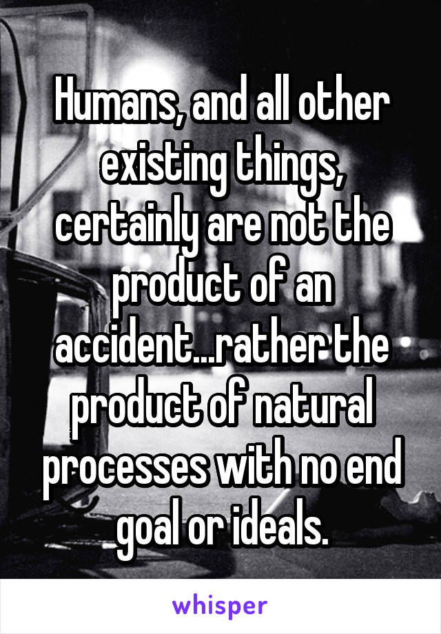 Humans, and all other existing things, certainly are not the product of an accident...rather the product of natural processes with no end goal or ideals.