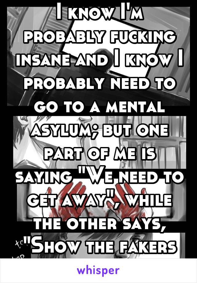 I know I'm probably fucking insane and I know I probably need to go to a mental asylum; but one part of me is saying "We need to get away", while the other says, "Show the fakers true insanity".