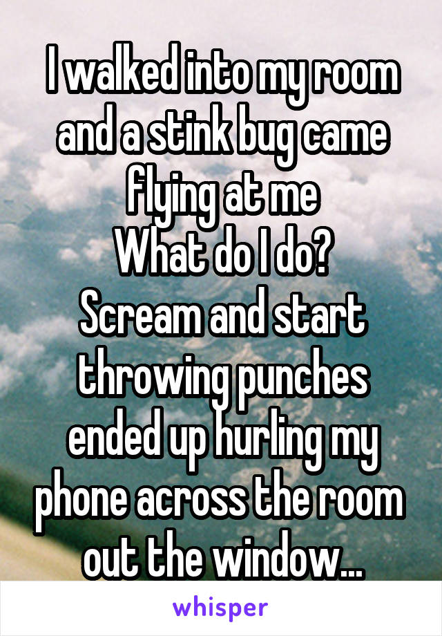 I walked into my room and a stink bug came flying at me
What do I do?
Scream and start throwing punches ended up hurling my phone across the room  out the window...