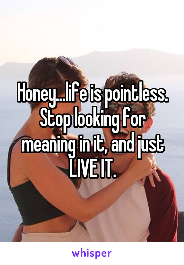 Honey...life is pointless. Stop looking for meaning in it, and just LIVE IT.