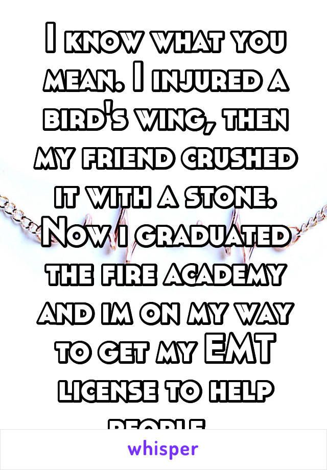 I know what you mean. I injured a bird's wing, then my friend crushed it with a stone. Now i graduated the fire academy and im on my way to get my EMT license to help people. 