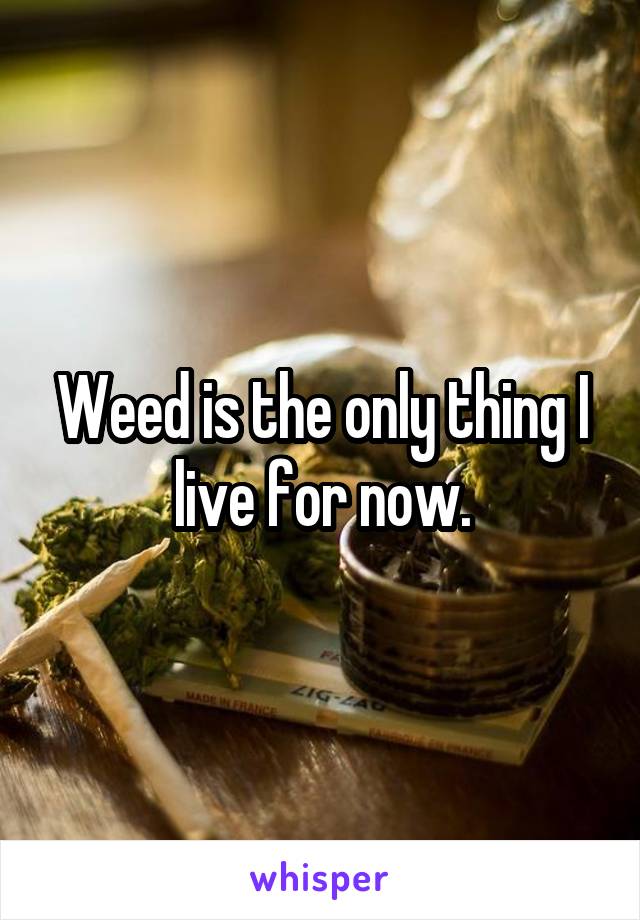 Weed is the only thing I live for now.