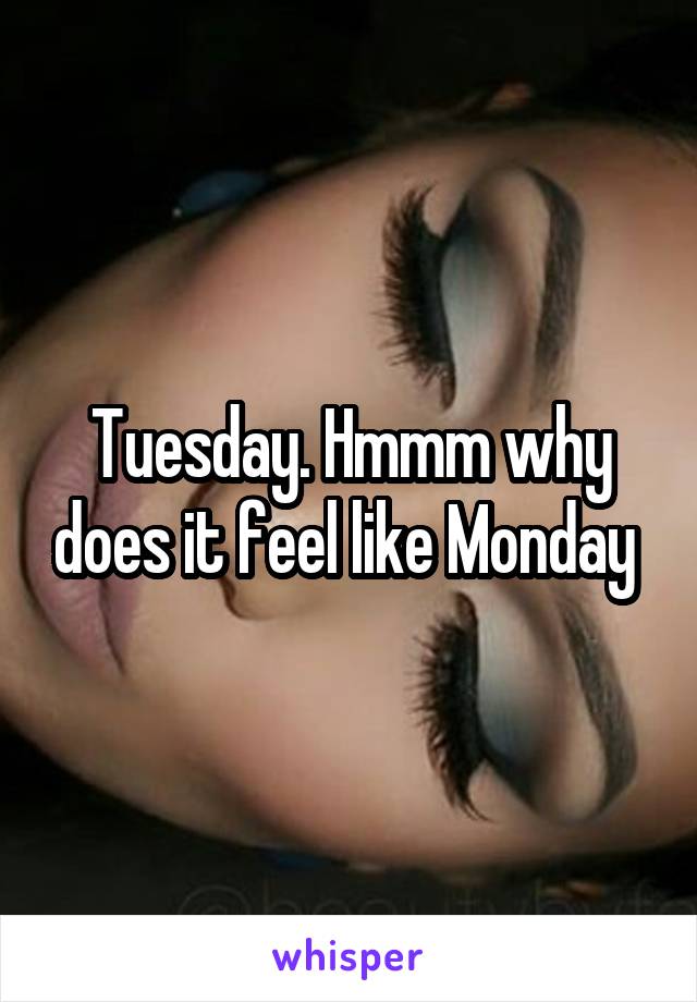 Tuesday. Hmmm why does it feel like Monday 