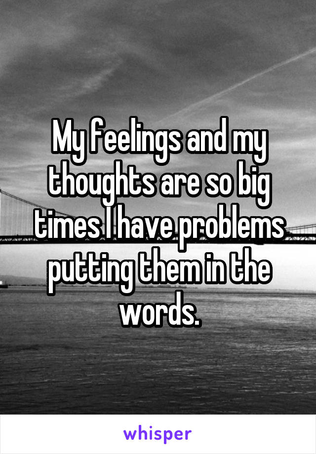 My feelings and my thoughts are so big times I have problems putting them in the words.