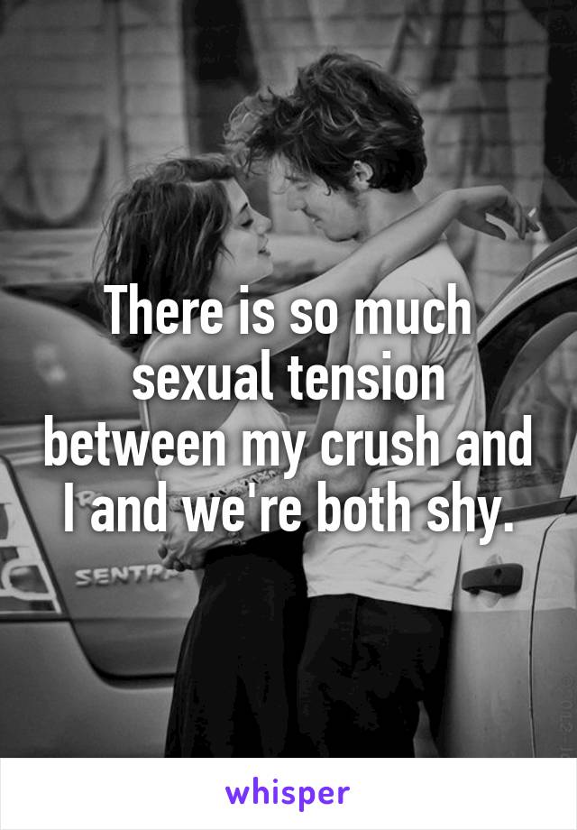 There is so much sexual tension between my crush and I and we're both shy.