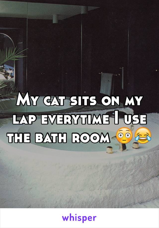 My cat sits on my lap everytime I use the bath room 😳😂