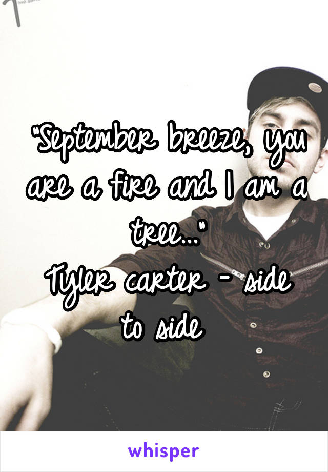 "September breeze, you are a fire and I am a tree..."
Tyler carter - side to side 