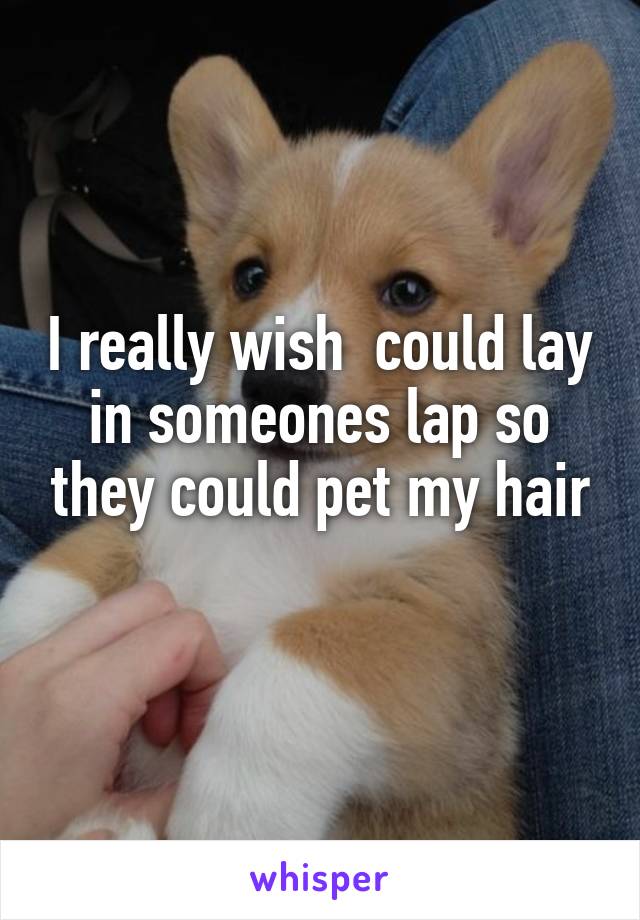 I really wish  could lay in someones lap so they could pet my hair
