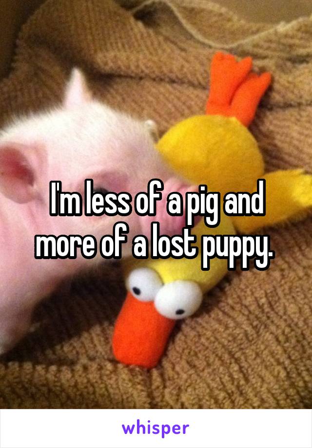 I'm less of a pig and more of a lost puppy. 