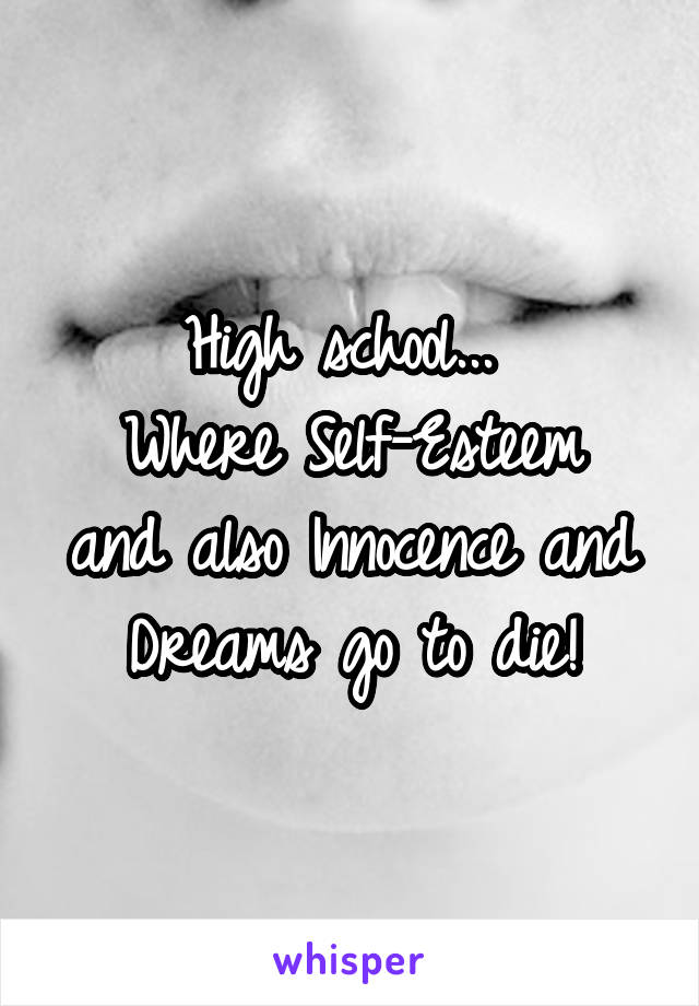 High school... 
Where Self-Esteem and also Innocence and Dreams go to die!