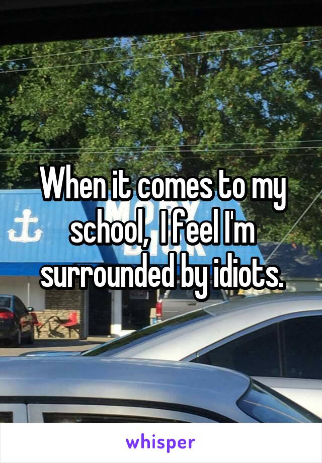 When it comes to my school,  I feel I'm surrounded by idiots.