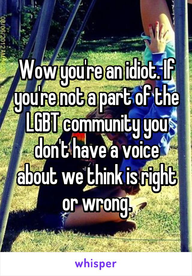 Wow you're an idiot. If you're not a part of the LGBT community you don't have a voice about we think is right or wrong.