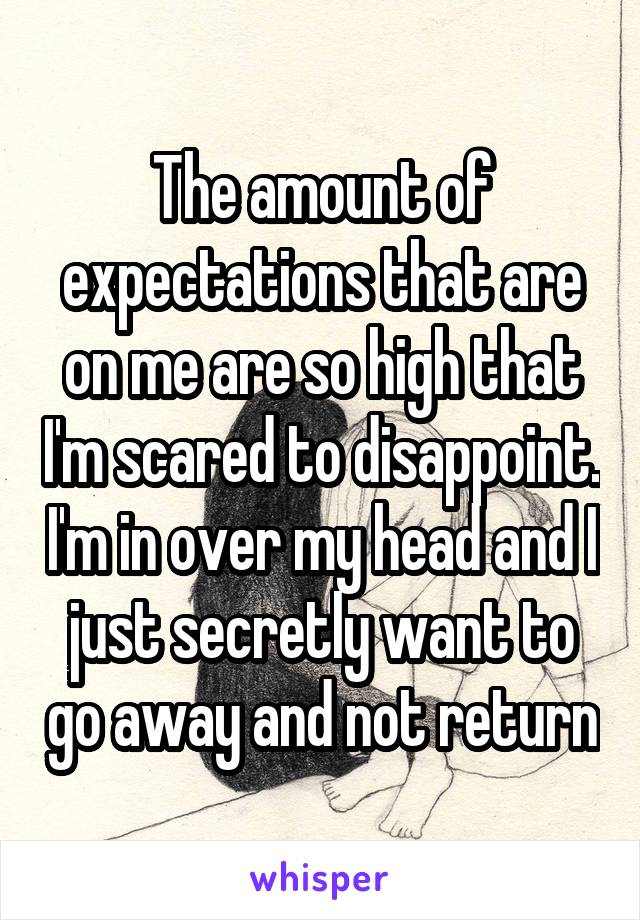 The amount of expectations that are on me are so high that I'm scared to disappoint. I'm in over my head and I just secretly want to go away and not return