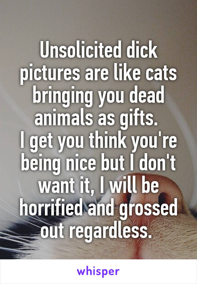 Unsolicited dick pictures are like cats bringing you dead animals as gifts. 
I get you think you're being nice but I don't want it, I will be horrified and grossed out regardless. 