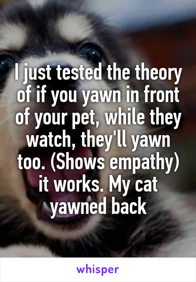 I just tested the theory of if you yawn in front of your pet, while they watch, they'll yawn too. (Shows empathy) it works. My cat yawned back