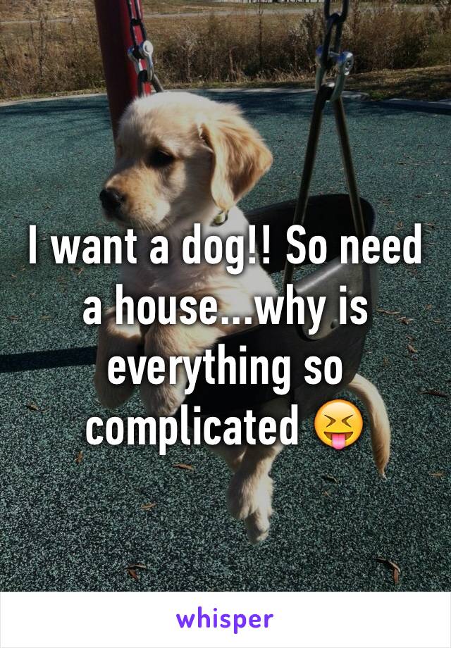 I want a dog!! So need a house...why is everything so complicated 😝