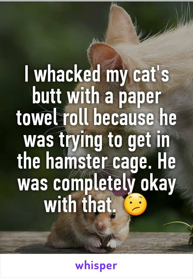 I whacked my cat's butt with a paper towel roll because he was trying to get in the hamster cage. He was completely okay with that. 😕