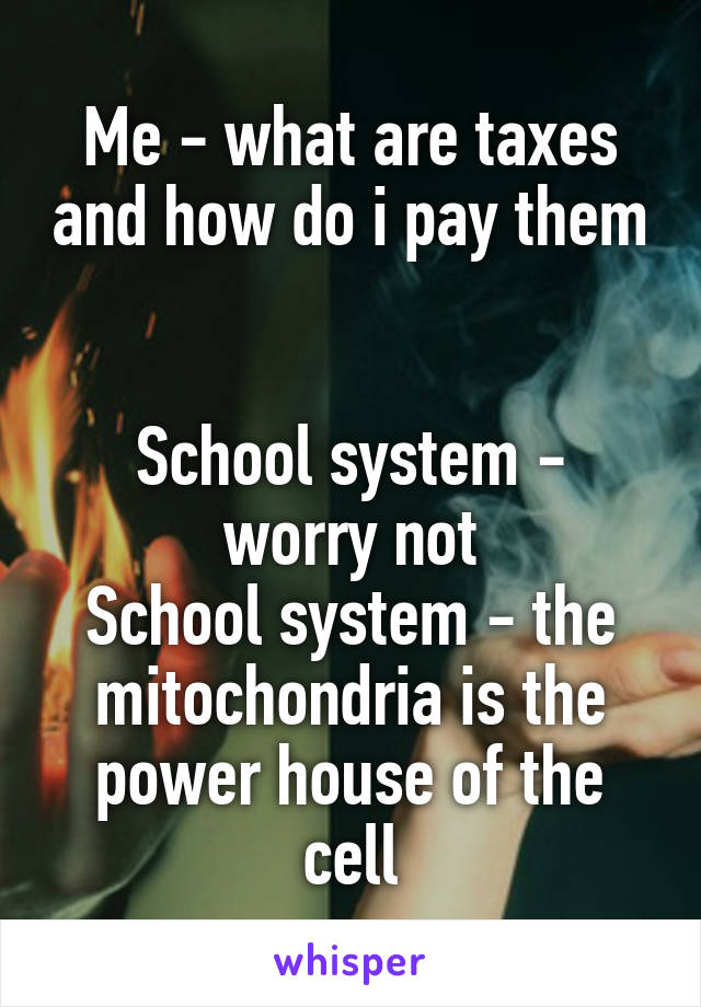 Me - what are taxes and how do i pay them 

School system - worry not
School system - the mitochondria is the power house of the cell