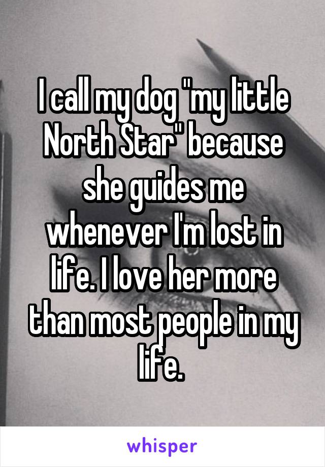 I call my dog "my little North Star" because she guides me whenever I'm lost in life. I love her more than most people in my life. 