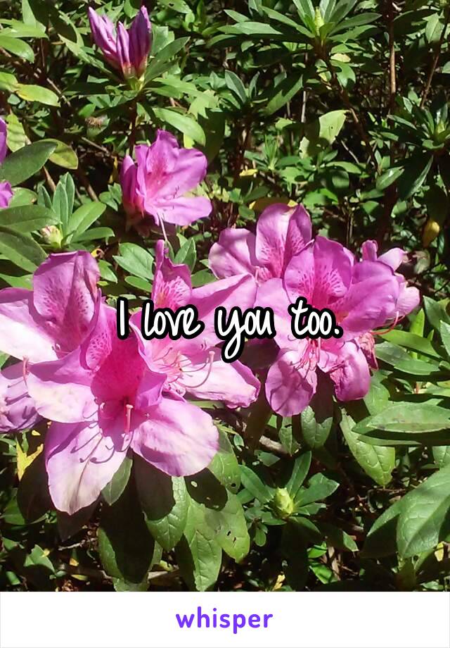 I love you too.